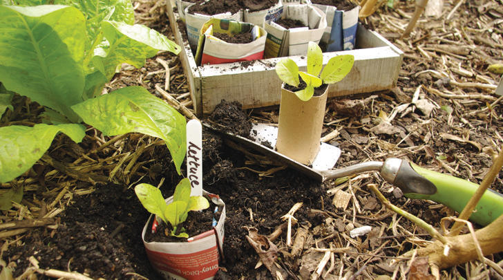 GI-12-Biodegradable-seedling-pots-728x405