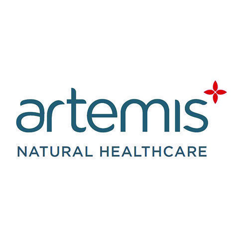 Green-Ideas-Artemis-logo