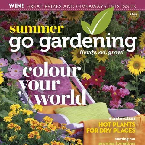 Cover-Summer-2014-480x480