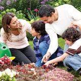 Family Gardening