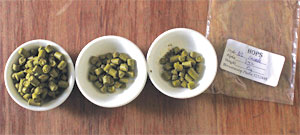 GI-13-Brew-your-own-beer-Step-7-300x135