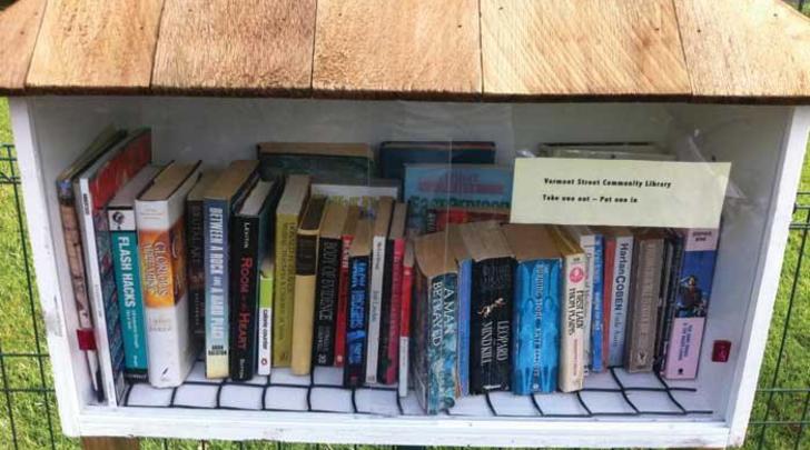 GI-8-Tiny-libraries-take-over-700x400 GI-8-Tiny-libraries-take-over-700x400