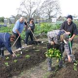 Group gardening