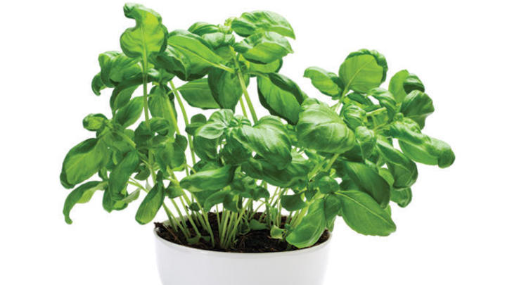 15-ways-to-save-money-by-being-green