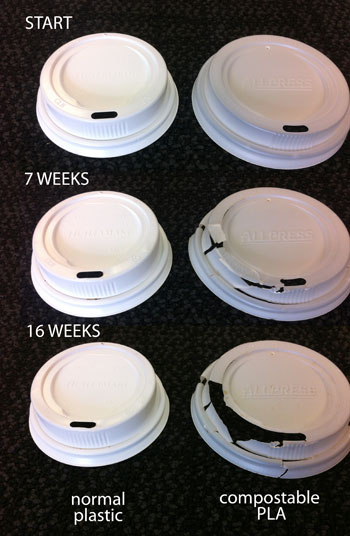 compostable coffee lids