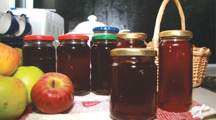 GI-11-Small-steps-Tips-and-tricks-from-grandmas-day-728x405