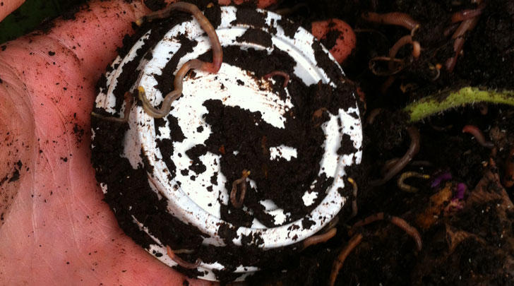 How-compostable-is-your-coffee-lid-728x405