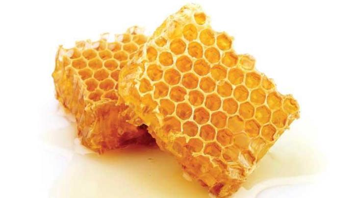 Our-world-Plan-Bee-700x400-GI04