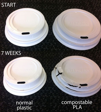 Plastic-coffee-lids-350x385