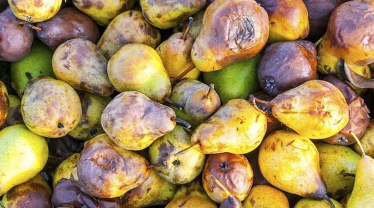 Throwing-away-food-what-a-waste-700x400